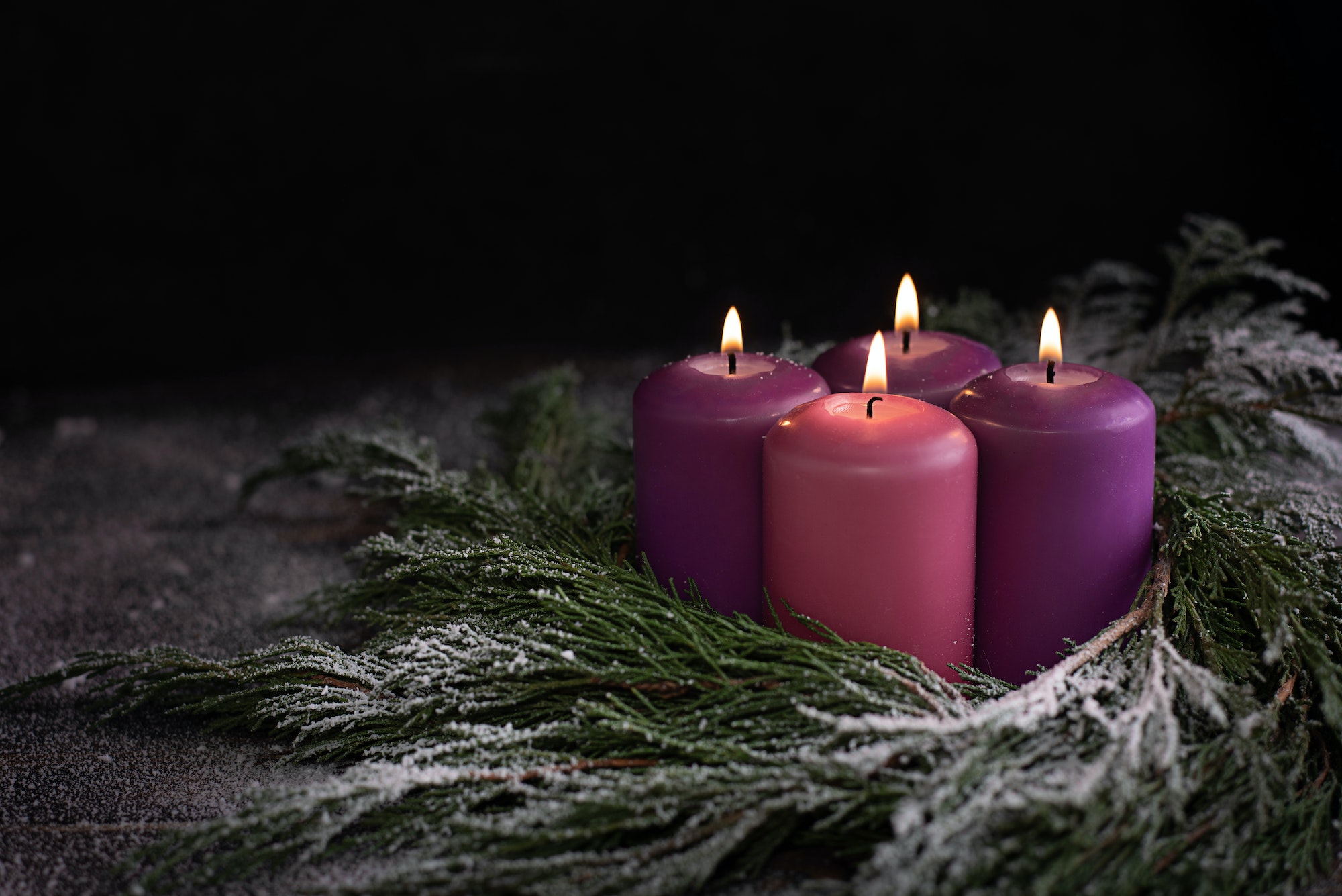 Christmas wreath with four burning purple advent candles.