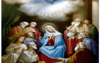 Weekly Bulletin – Sunday, June 08, 2025