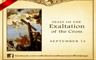 Weekly Bulletin – Sunday, September 14, 2025