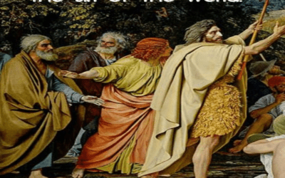 Weekly Bulletin – Sunday, January 18, 2026