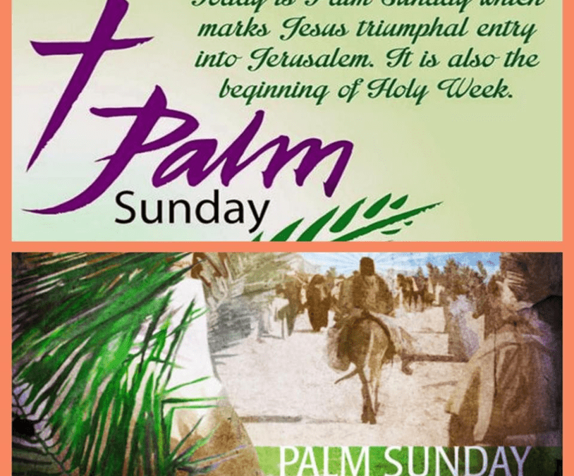 Weekly Bulletin – Sunday, March 29, 2026