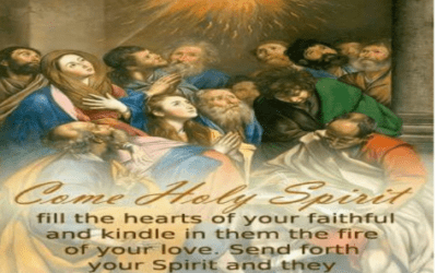 Weekly Bulletin – Sunday, May 24th, 2026