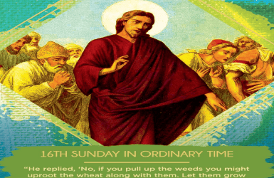 Weekly Bulletin – 19 July 2026